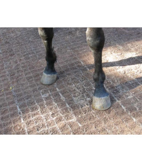 Stabilisatieplaten 1m x 1,3m voor paarden