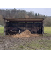 Shelter voor paarden v1 6x3m