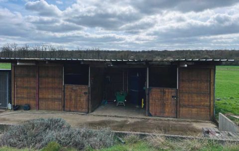 2 boxes cheval et abri
