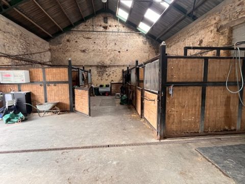 Box intérieurs pour chevaux