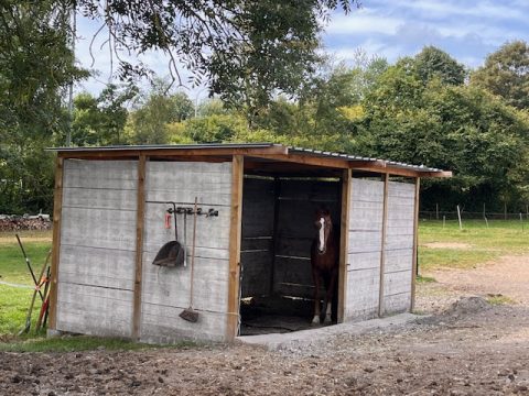 Abri pour cheval avec demi-cloison avant