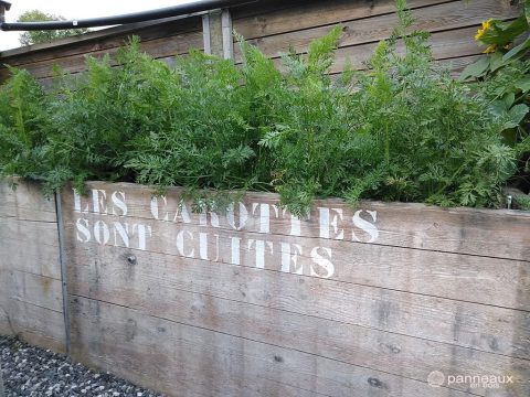 Bacs potagers en panneaux de coffrage