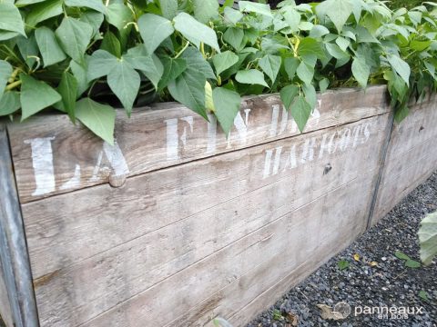 Bacs en panneaux de récupération pour faire pousser ses légumes